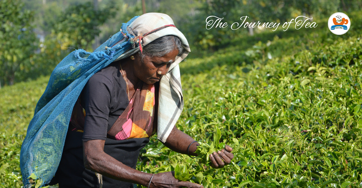 best-franchise-in-india-under-5-lakhs